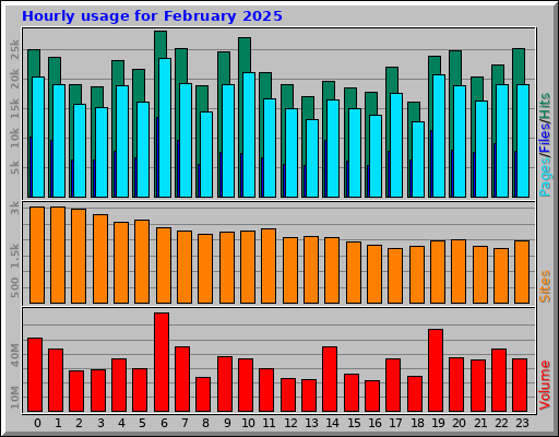 Hourly usage for February 2025